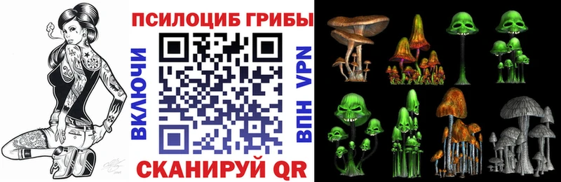 Купить закладки  Жигулёвск  Галлюциногенные грибы Psilocybe 